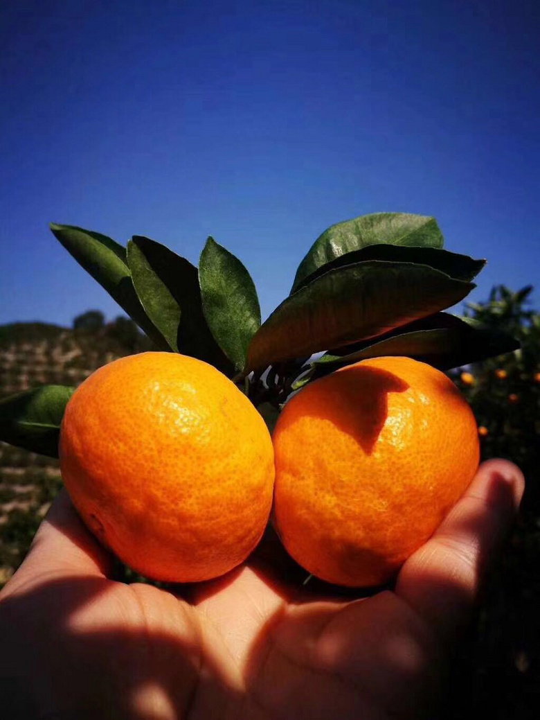 ӿȪ�۽ۻ��ˣ���ԵĿ����������ˣ�����·������ĩ���������ţ�