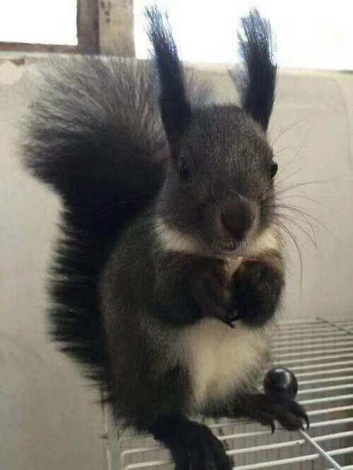 ��ӭ˽���ң�������ô��Ŵ�ħ����ȥ���䣬��ͷ�ʱ�����