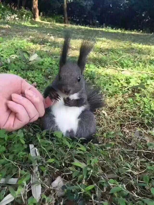 ��ӭ˽���ң�������ô��Ŵ�ħ����ȥ���䣬��ͷ�ʱ�����