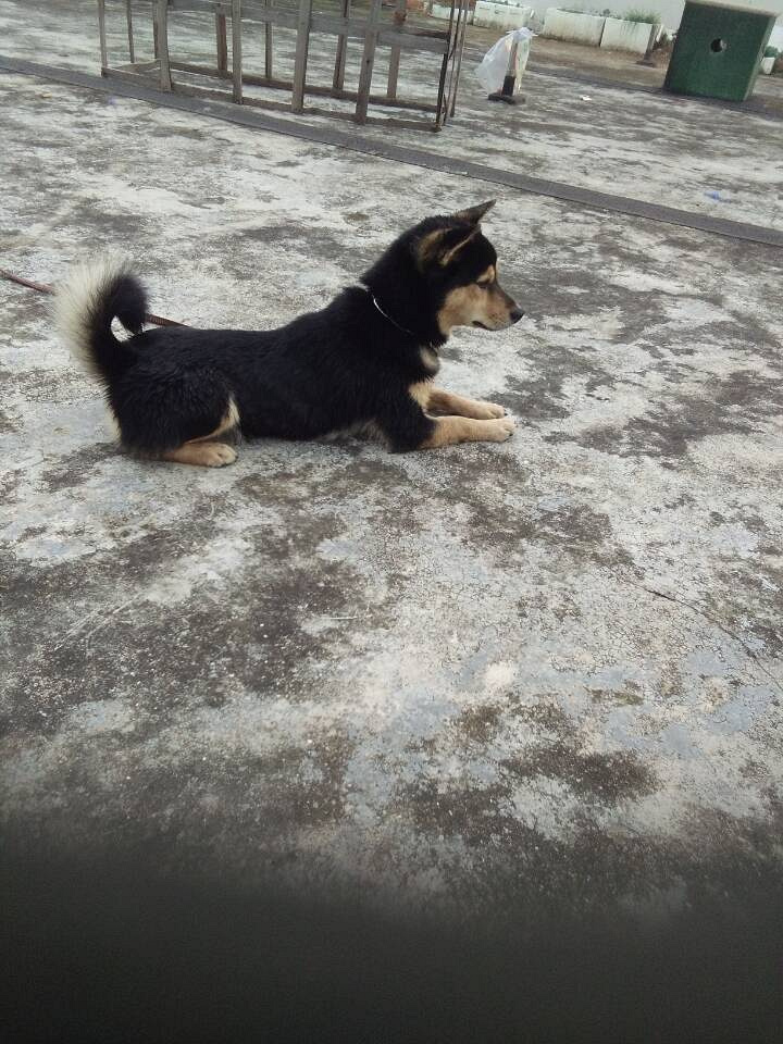 ʮ���µܻܵ����