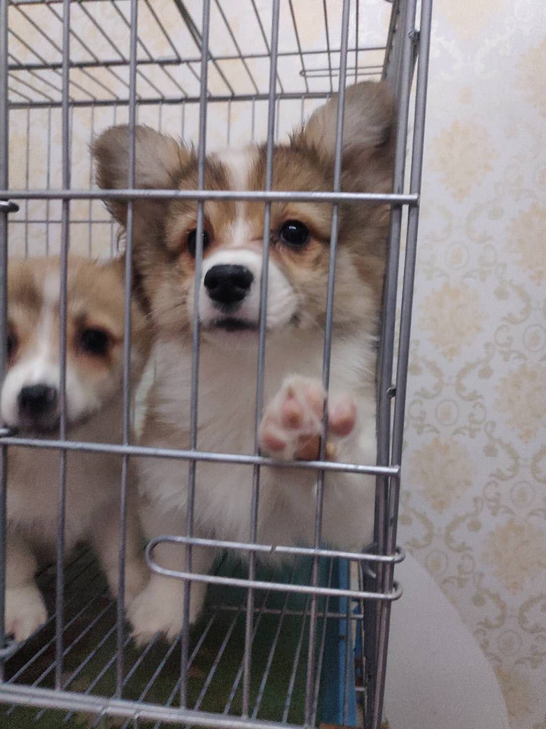 �����»���1388���ؼ�