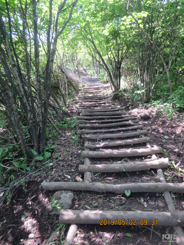 上山步道