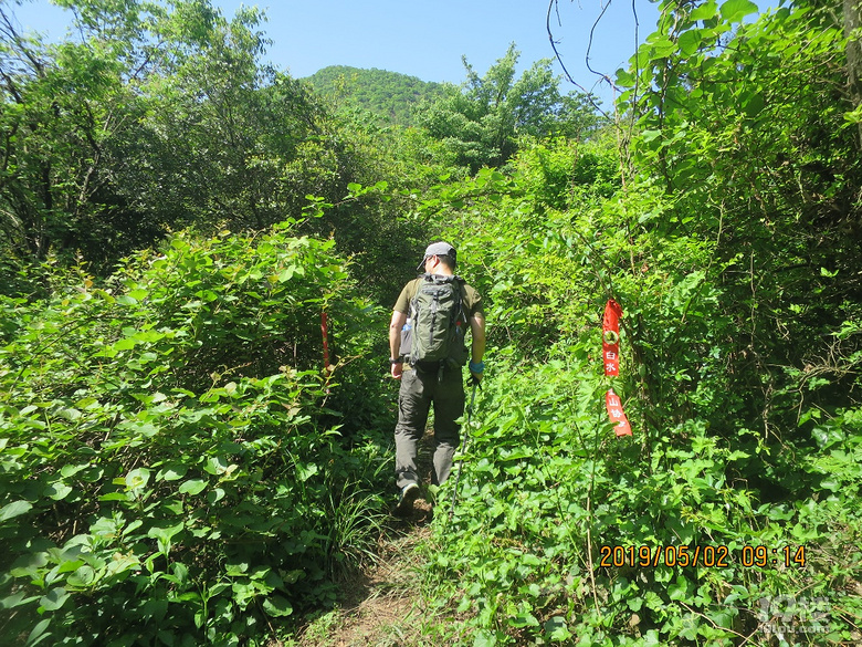 从前岭头进入通往大雷山顶的山道