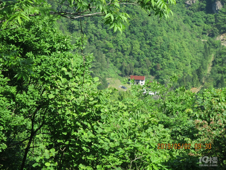 下面是位于捣臼孔的龙溪林场和九龙山黑龙殿