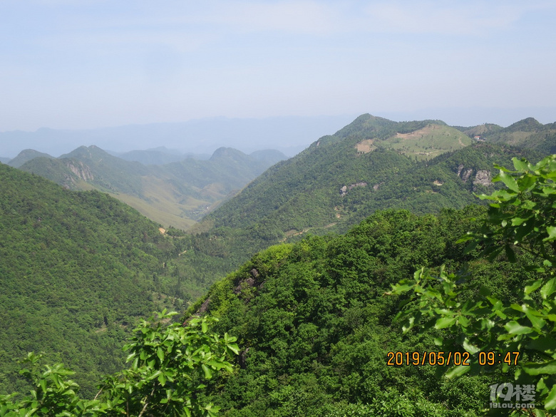 对面是后岭头方向峡谷中的岭里村