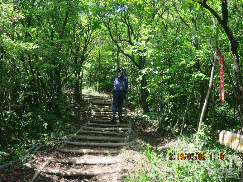 从另一条山道上来的天台游客