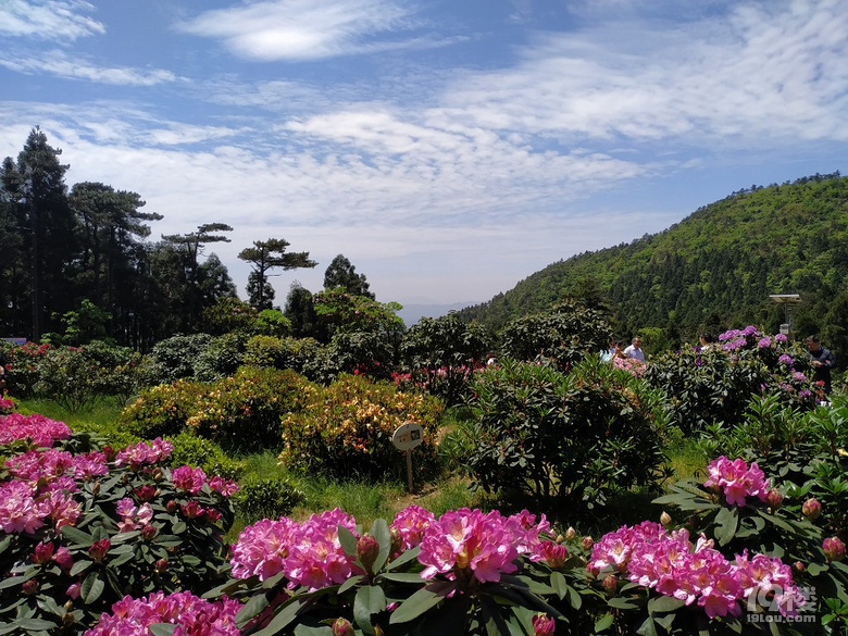 天台华顶