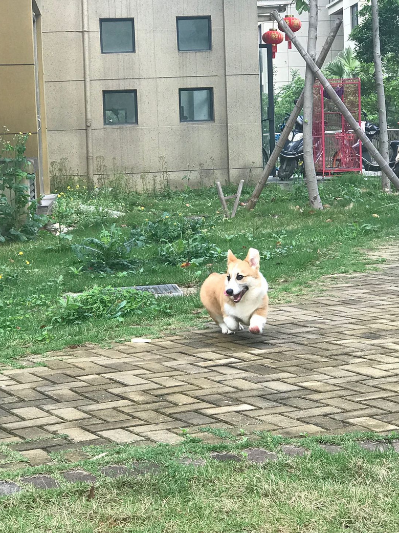 �»�������һ��룬���������޳���