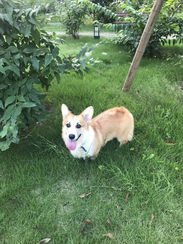 �»�������һ��룬���������޳���