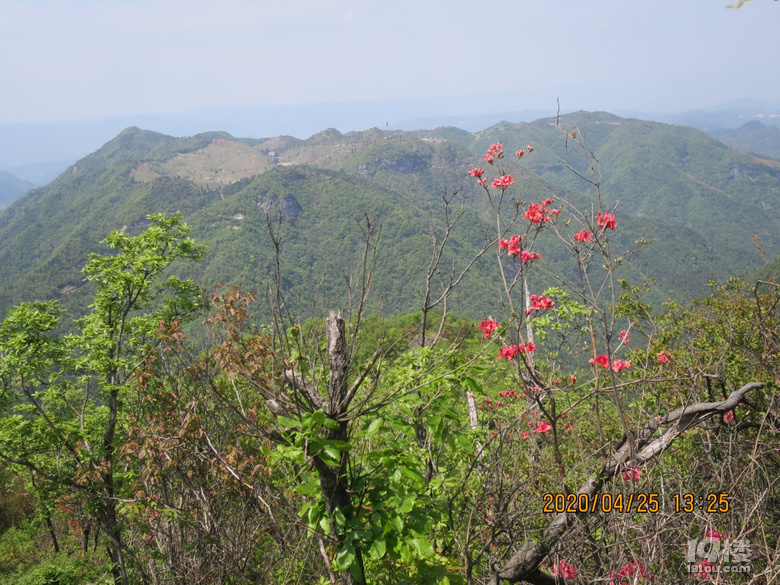 对面就是牧云谷高山草甸