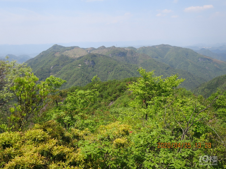 对面就是牧云谷高山草甸