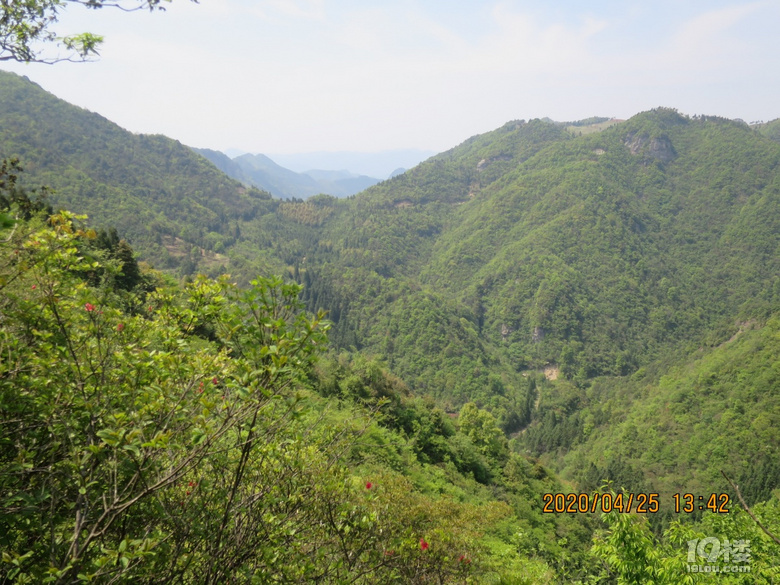 对面是通往龙溪岭里方向的后岭头，下去就是龙溪岭里村，另一条上行的路通往牧云谷高山草甸和雷音寺