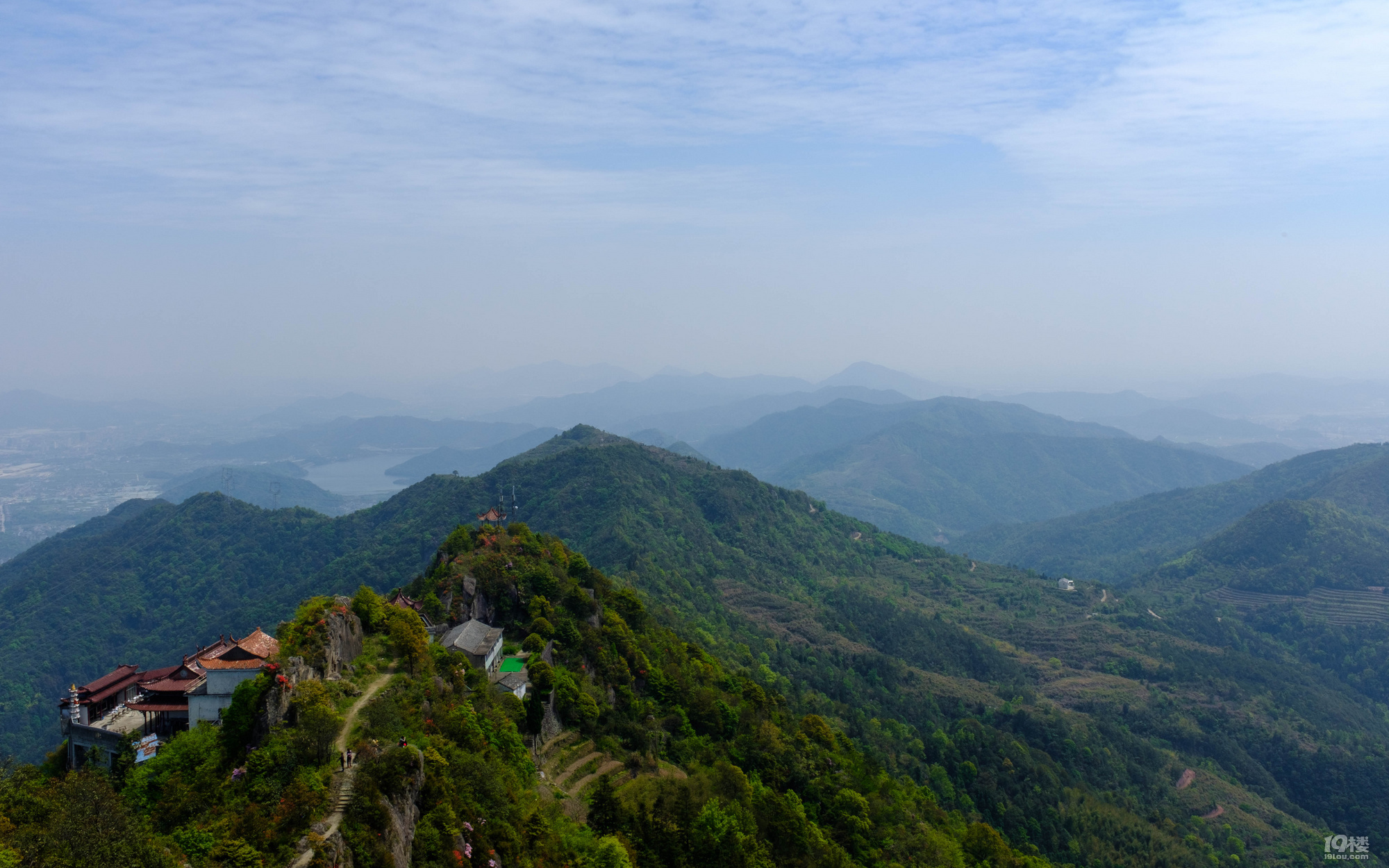 太湖山映山红晒图分享-台州旅游-台州19楼