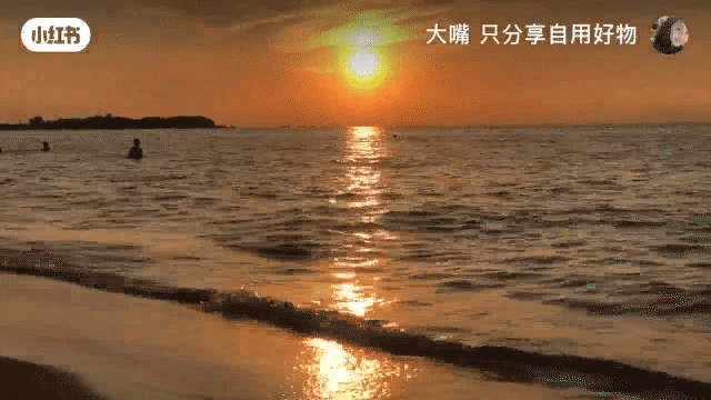 被低估太久的海滨城市隔海就是韩国海鲜比青岛还带劲