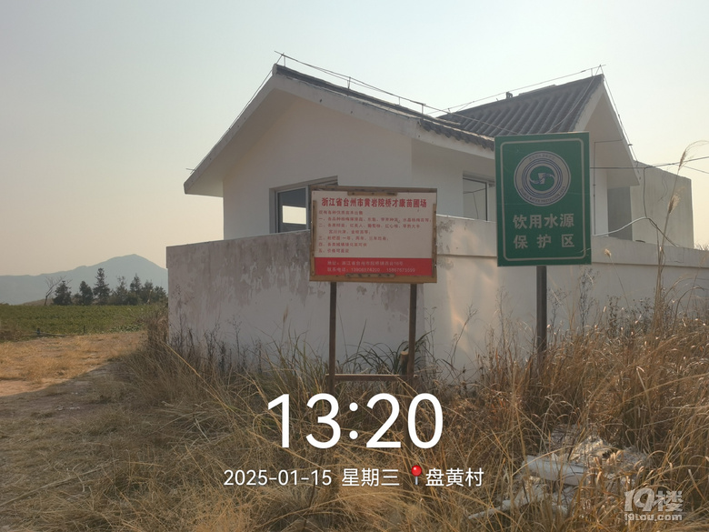 黄岩院桥的苗圃