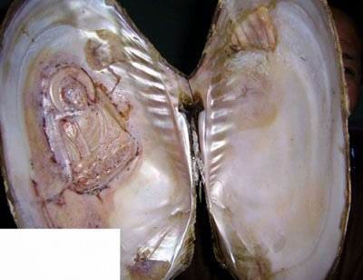 大河蚌内竟然长着一尊观音菩萨 !-温岭论坛-台州19楼