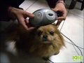 ��¼/ע���ɿ���ͼ