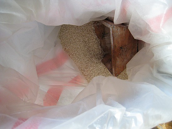 独特重磅出击:超人教你炒姜米-台州美食-台州1