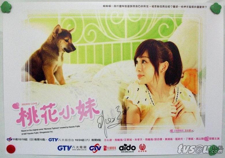 桃花<em>小妹</em>分集剧情介绍 大结局-孩爸妈<em>聊天室</em>-台