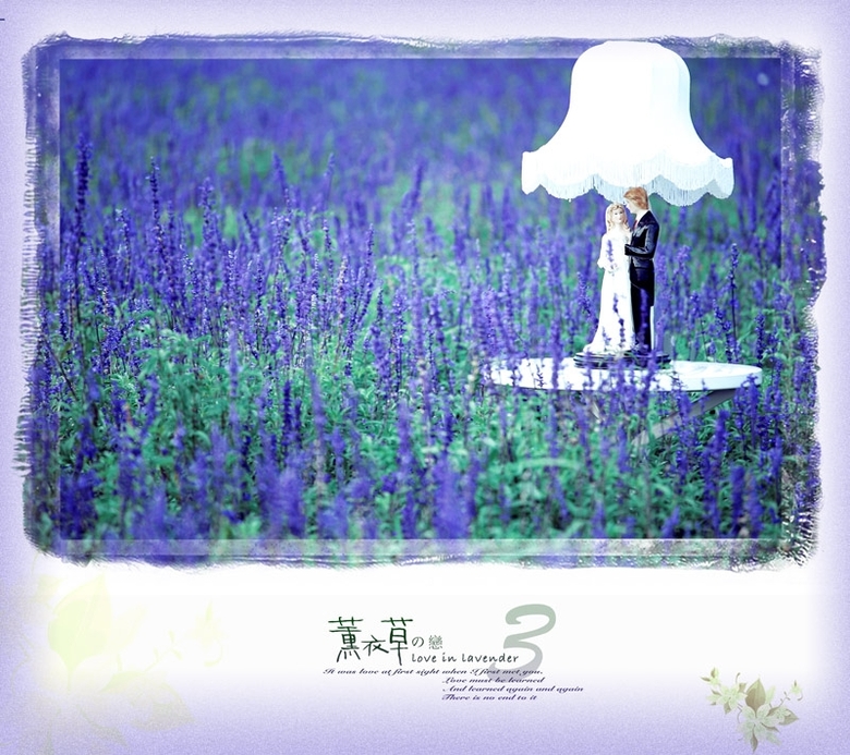 紫色物语&熏衣草鉴证~淡淡的花香浓浓的爱-谈