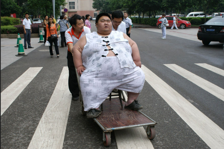 图片故事:中国第一胖梁用住院记-讲白搭-台州