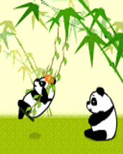 01-29 16:03  上传时间:2010-01-29 16:02  62936730fb081c8f5fdf0e2c