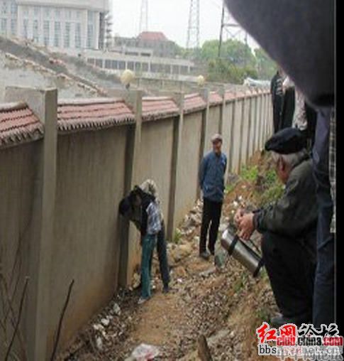 一名女子光天化日下当街卖淫-讲白搭-台州19楼