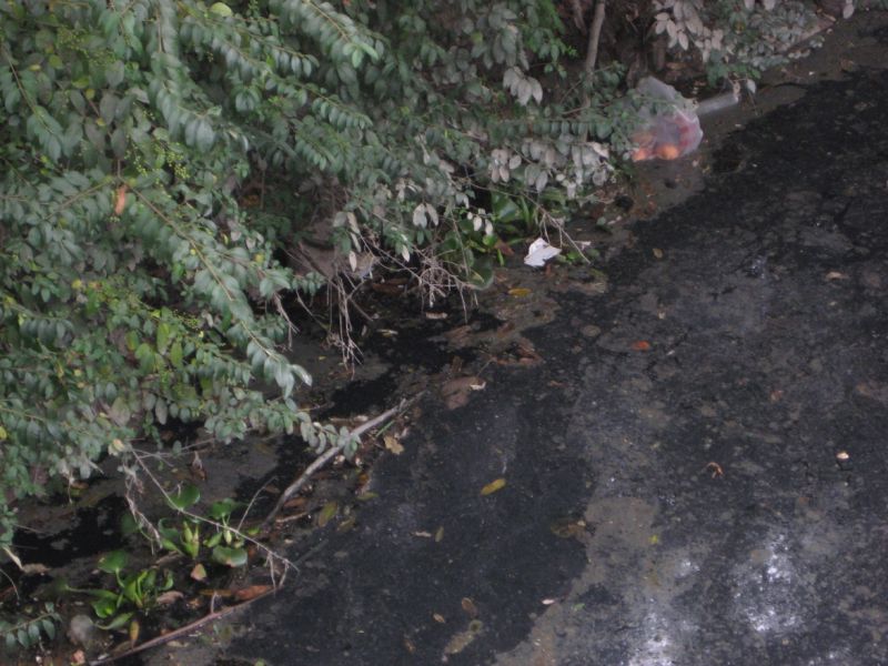 黄岩的黑河--东官河(臭水沟)-讲白搭-台州19楼