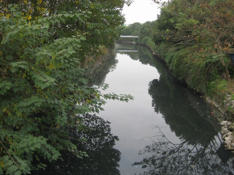黄岩的黑河--东官河(臭水沟)-讲白搭-台州19楼