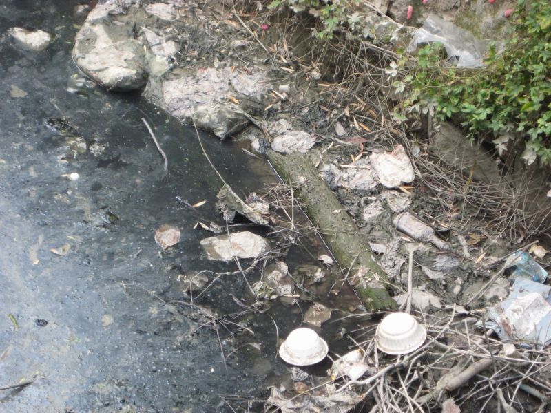 黄岩的黑河--东官河(臭水沟)-讲白搭-台州19楼