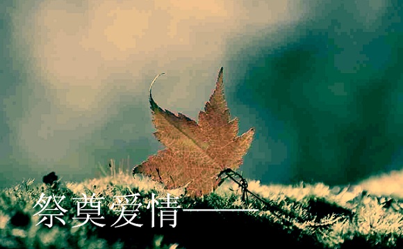 [原]祭奠爱情