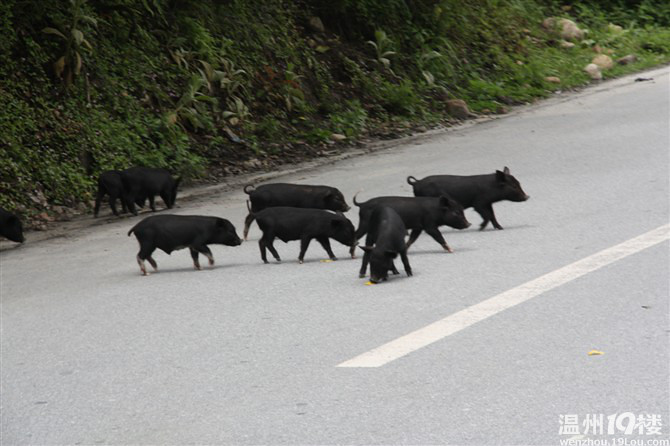 川藏线归来,彻底治愈我心里的紫外线过敏-沿途