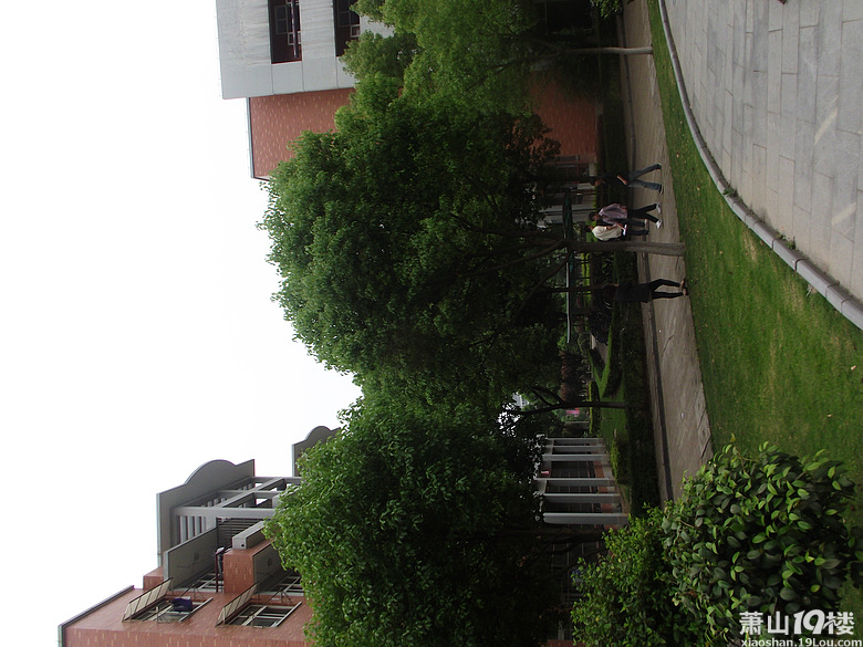 绍兴嵊州人想入赘萧山-萧然红娘馆-萧山19楼