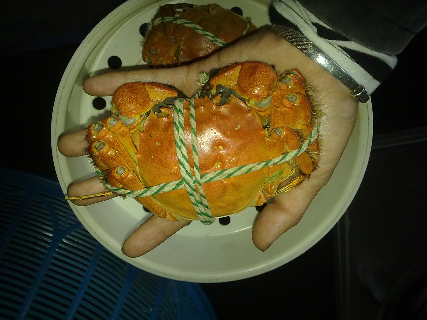 螃蟹为什么要绑起来_活螃蟹怎么保存_蒸活蟹