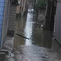 爆料<em>萧山区育才女子中学</em>附属小学暴力对待小学