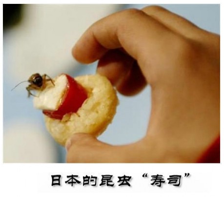 世界上各国最恶心最残忍的吃法!