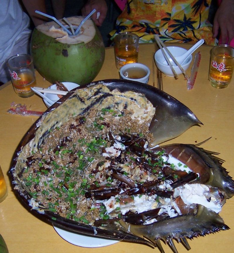 鲎哪位大厨会烹饪