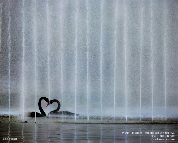 有虎山路初中第一届毕业生吗-萧山口水社-萧山