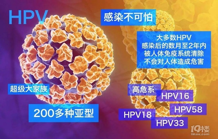 杭州hpv早期筛查80的女性都感染过hpv别给病毒可乘之机