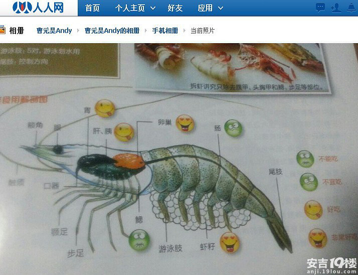 妈你让我以后怎么面对虾