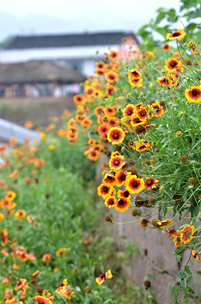 ��2014�����컨�Ⱦ�ѡͼ����