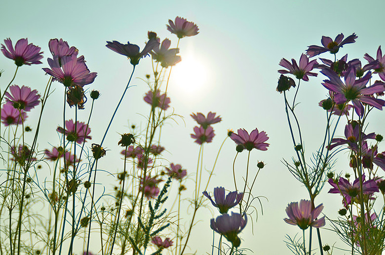 ��2014�����컨�Ⱦ�ѡͼ����