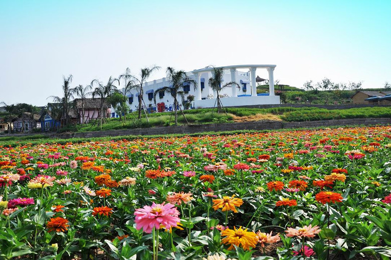 ��2014�����컨�Ⱦ�ѡͼ��II��