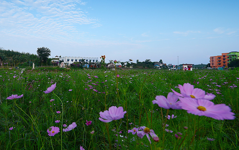 ��2014�����컨�Ⱦ�ѡͼ��II��