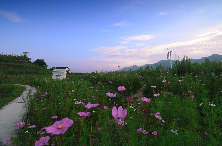 ��2014�����컨�Ⱦ�ѡͼ��II��