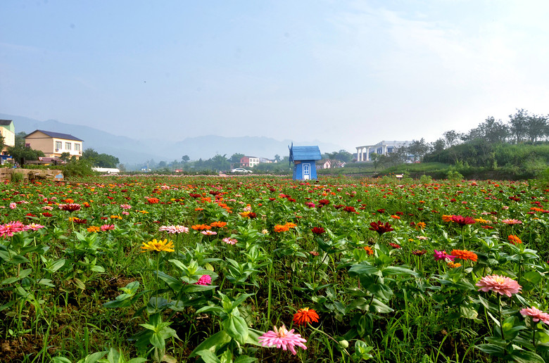 ��2014�����컨�Ⱦ�ѡͼ��I��