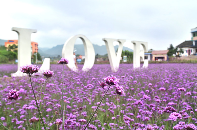 ��2014�����컨�Ⱦ�ѡͼ��I��