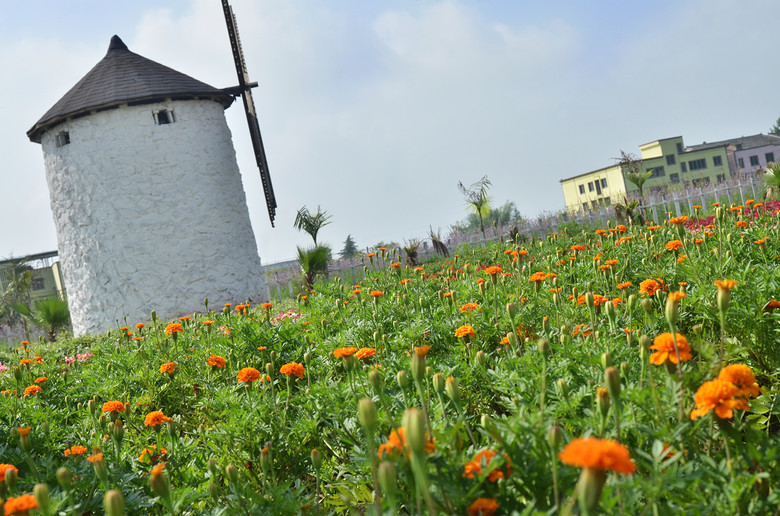 ��2014�����컨�Ⱦ�ѡͼ��I��