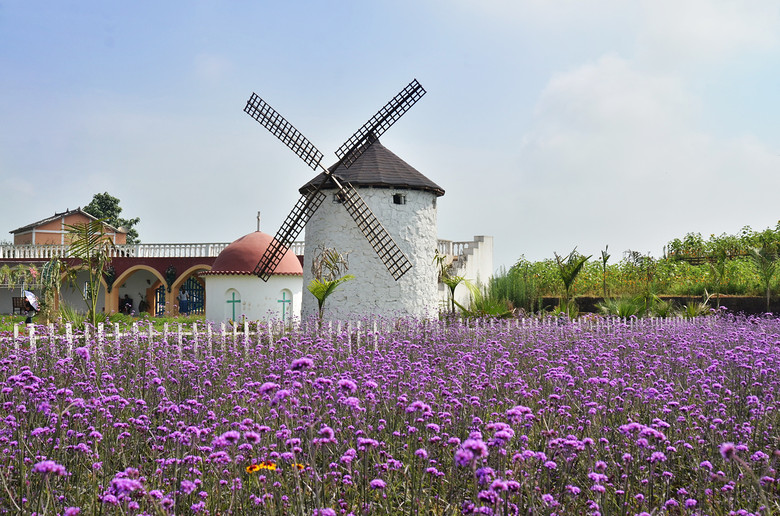 ��2014�����컨�Ⱦ�ѡͼ��I��