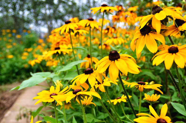 ��2014�����컨�Ⱦ�ѡͼ��II��